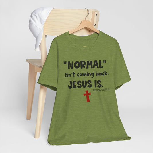 Normal Isnt Coming Back, Jesus Is